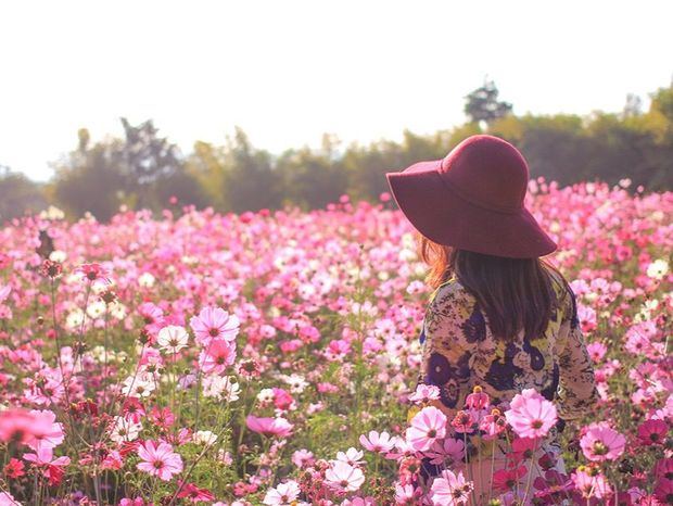 Cada 8 de marzo, a nivel mundial se conmemora el Día Internacional de la Mujer.