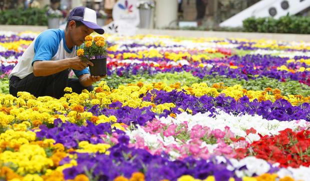 Foto de archivo. Flores de Colombia.
