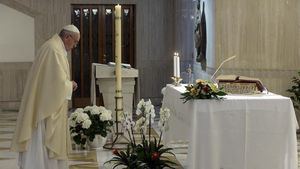 El papa: Hemos depredado la tierra, poniendo en riesgo hasta nuestra vida