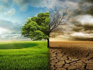 Debate científico sobre nuevos estilos de vida que permitan mitigar la “crisis climática”