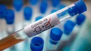 La COVID-19 podría estar relacionada con la enfermedad rara infantil Kawasaki