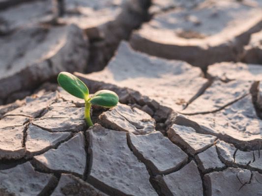 Pronostican grave crisis de agua y de alimentos en el país dentro de 5 años.