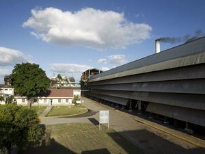 CAEI logra récord histórico de producción con más de 145 mil toneladas de azúcar