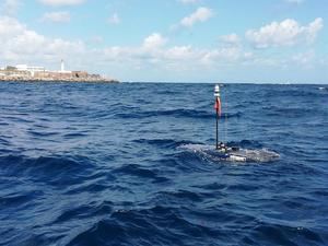 Un vigilante silencioso recorre el Atlántico escuchando al océano
 

 