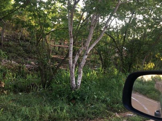 Alianza Paí­s pide Medio Ambiente detenga depredación en Farallón Sur de autopista Las Américas