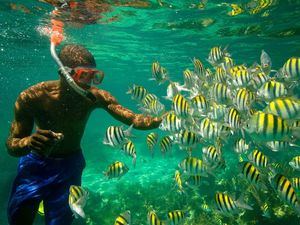 Un lugar espectacular  para hacer snorkel.