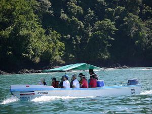 Entre las principales actividades económicas de la Península está el turismo, la ganadería, actividades forestales y cultivos extensivos como la palma aceitera y el arroz.
