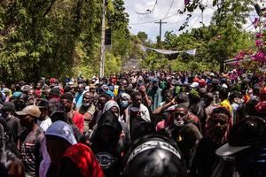 La ONU alerta: el 50% de los haitianos enfrenta inseguridad alimentaria severa