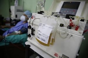 El Salvador apuesta al plasma convaleciente para curar a enfermos de Covid-19