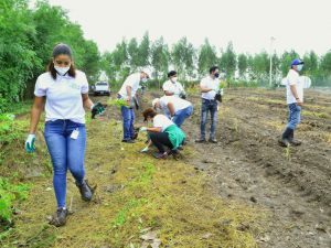 Voluntarios de CAEI plantan mil árboles en San Pedro de Macorí­s