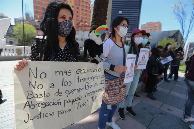 Ambientalistas sostienen carteles durante un acto de protesta en la plaza del Estudiante, en el centro de La Paz, Bolivia.