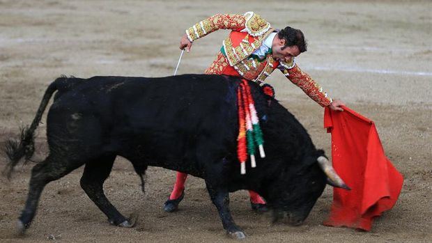 El diestro español Antonio Ferrera da un pase a un toro durante una de sus faenas en la Feria de toros 'San Isidro Labrador' hoy, en Latacunga, Ecuador.