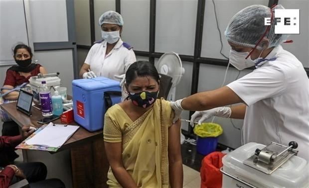 Récord diario de vacunación en la India: 3,6 millones de dosis en una jornada