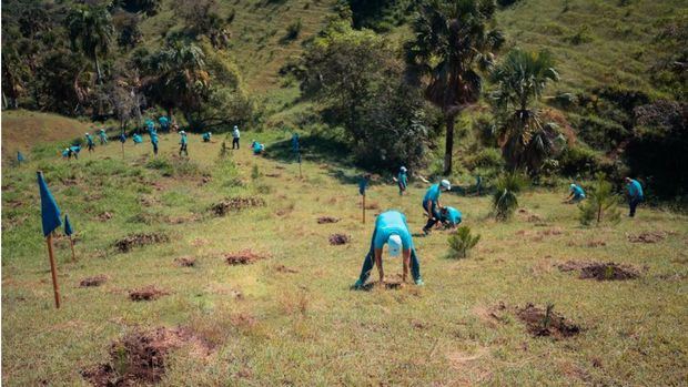 La entidad bancaria se acerca a la meta de plantar 1 millón de plantas para el año 2030.