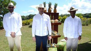 Embajadores dominicanos visitan proyecto de piñas de Monte Plata