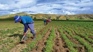 Gobierno lanza campaña “Consume lo Nuestro” que impulsa el consumo de productos nacionales