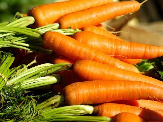 Agricultura niega que haya importación masiva de zanahoria.