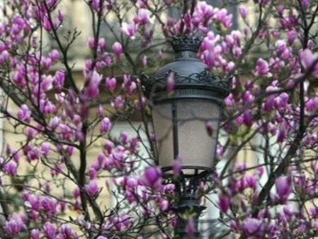 La primavera comienza hoy 20 de marzo.