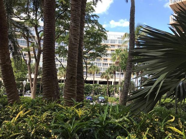 Fotografía de una zona residencial cubierta con árboles y plantas el 21 de marzo de 2021 en un vecindario de Miami, Florida, EE.UU.