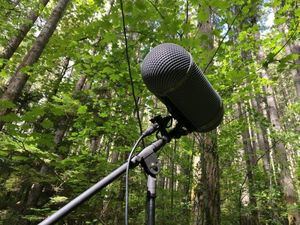 Vuelve el Premio de Periodismo Ambiental en su quinta edición