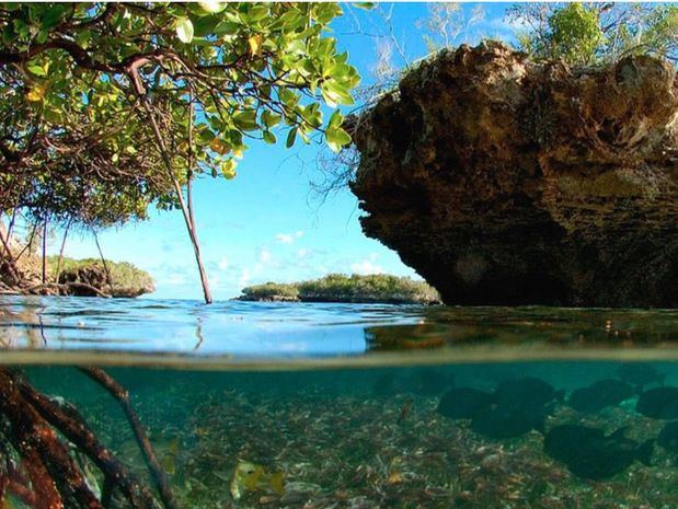 El atolón de Aldabra en las islas Seychelles hace parte del Patrimonio Mundial de la UNESCO.