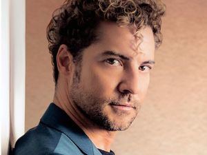 David Bisbal, un 