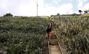 Moravia, el vibrante barrio de Medellín que transformó su basurero en jardí­n