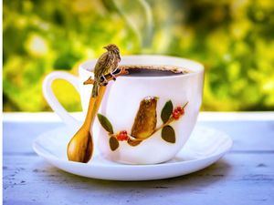 Café Mamá Candín lanza colección de tazas y cucharitas inspiradas en las aves endémicas dominicanas.