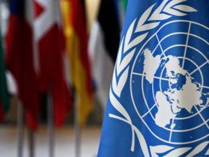 R.Dominicana ejercerá una vicepresidencia en la Asamblea General de la ONU