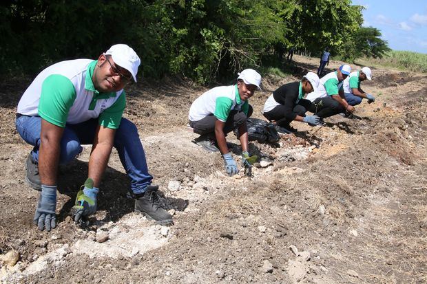 Colaboradores de CAEI siembran árboles en Consuelo