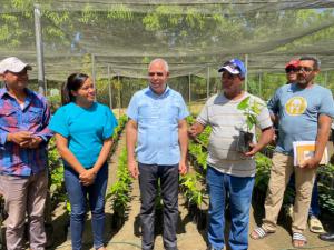 Desarrollo Fronterizo continúa impulsando a productores de planta de Cacao en Monte Grande