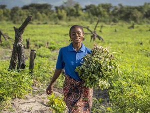 La FAO insta al G20 a invertir en un planeta saludable para obtener alimentos saludables