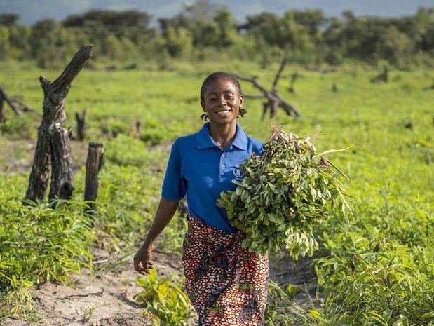 Una agricultora de la República Democrática del Congo beneficiada con los programas de capacitación y distribución de herramientas y semillas de la FAO.