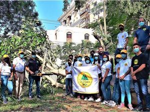 COOPSEMA repara estragos de tormenta Fred en parque “Bosque de la Vida