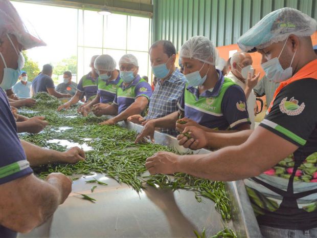 Efraín Toribio impulsará la crianza de chivas, ovejas y pollitas.