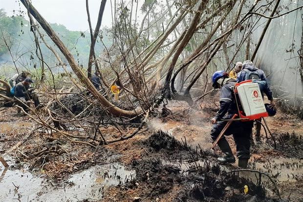 Fotografía cedida hoy por la Unidad de Parques Nacionales Naturales de Colombia que muestra bomberos que combaten el incendio forestal del Parque Isla Salamanca, en Sitionuevo, Colombia.