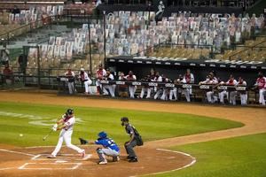 Suspenden a los Tigres del Licey y los Gigantes del Cibao en el béisbol dominicano por Covid