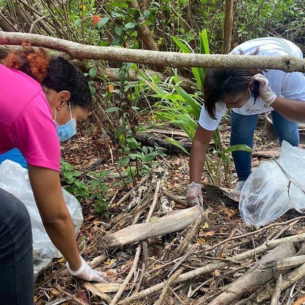 Voluntarios en limpieza.