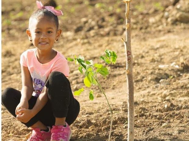 En los últimos 6 años se han reforestado 80,468 árboles principalmente en el Municipio Guayabal y Baitoa.