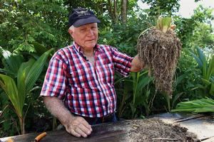 El ganadero Fernando Chico muestra sargazo utilizado es sus sembradíos en el rancho 'Nohoch Balam', 19 de agosto de 2023, en Playa del Carmen (México). 