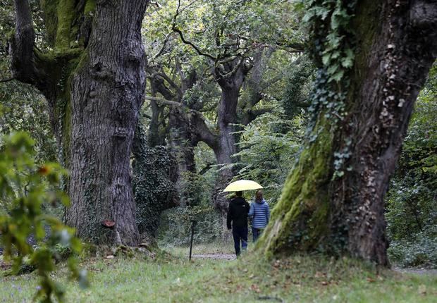 En la imagen de archivo, dos personas pasean por el Jardín Botánico de Gijón, Asturias, en una tarde otoñal.
