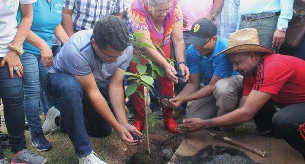  El alcalde del Distrito Nacional, David Collado, siembra árbol. 