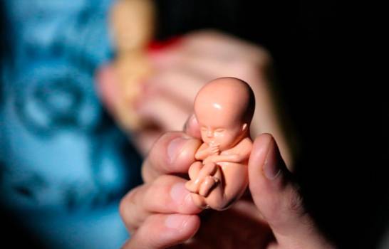 Organizaciones piden incluir la despenalización del aborto en el Código Penal.