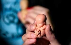 Organizaciones piden incluir la despenalización del aborto en el Código Penal