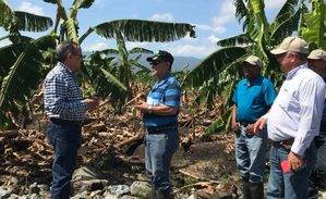 Estiman pérdidas millonarias en agro; inundaciones siguen causando daños