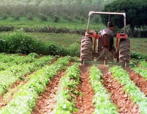 La Agencia Española de Cooperación impulsa proyecto agropecuario en el sur