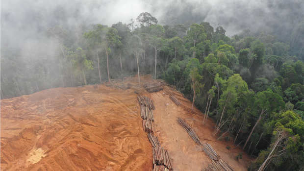 La deforestación avanza al ritmo de las excavadoras en la Amazonía de Brasil.