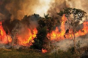 Los incendios vuelven a amenazar la Amazonia brasileña tras dispararse en julio