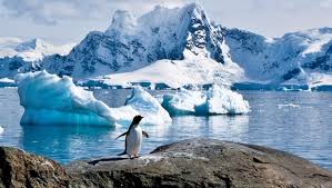 Sylvia Earle: la Antártida y sus aguas son claves contra el cambio climático