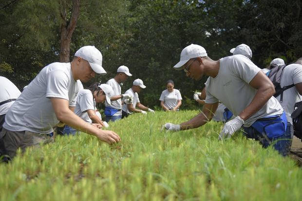 Vivero Novillero en la provincia de Villa Altagracia escogido para la jornada reforestación de voluntarios de Avon.